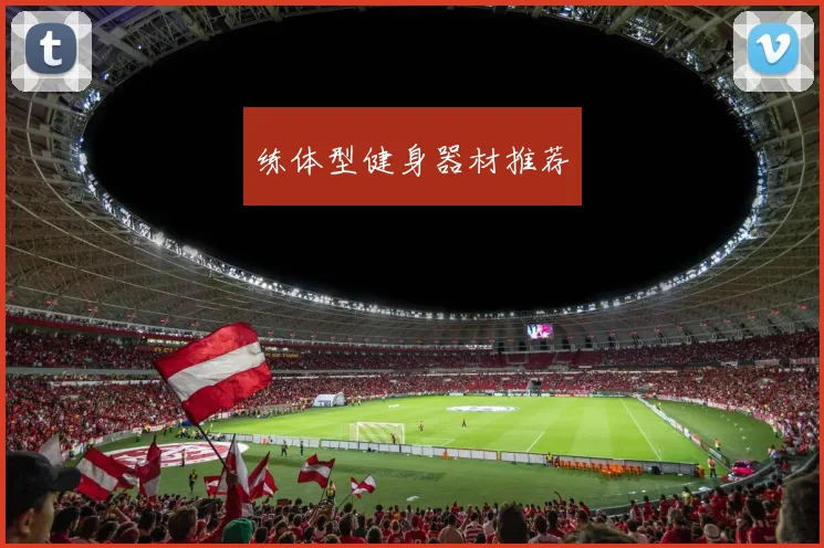 练体型健身器材推荐