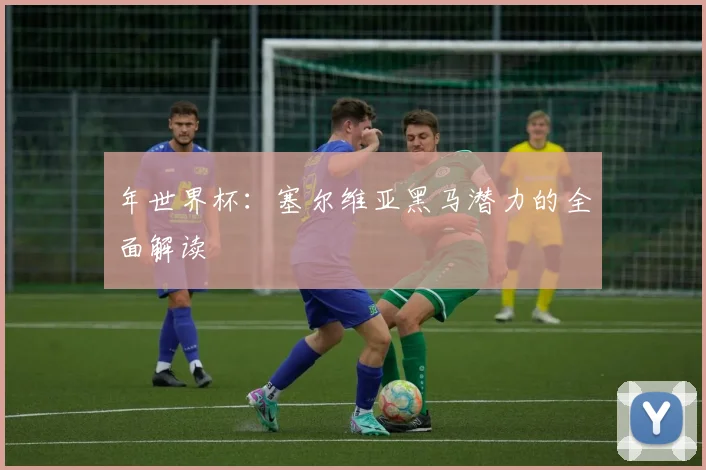 年世界杯：塞尔维亚黑马潜力的全面解读